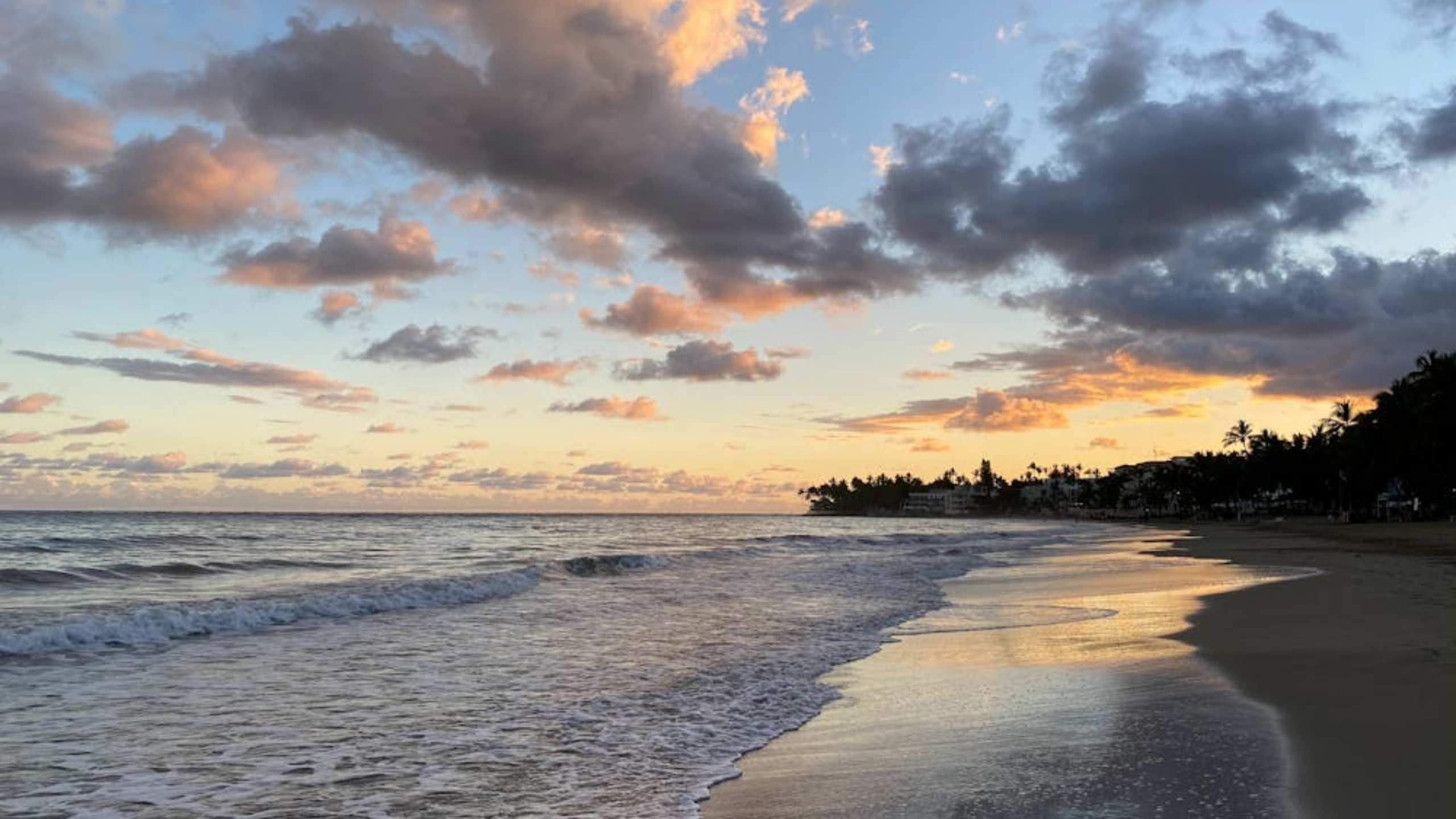 'This Is Our Town': Chilling Warning Found With Five Decapitated Heads Hanging on Ecuador Beach