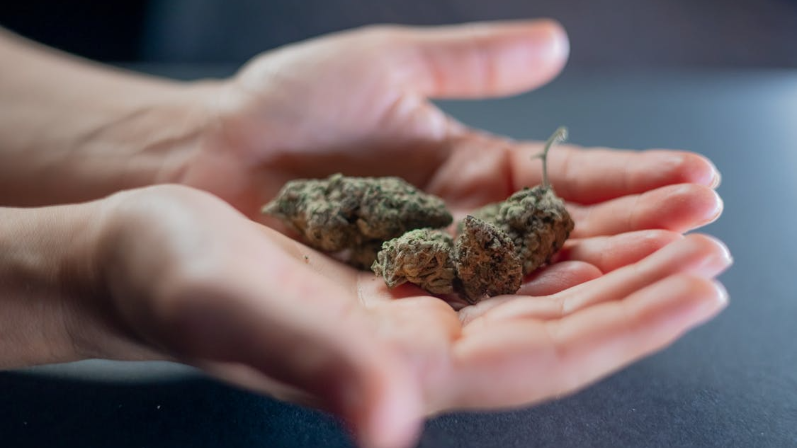 Fugitive Syrian Hotel Migrant Accused of Sexual Assault After Giving Cannabis to 15-Year-Old Faces Extradition