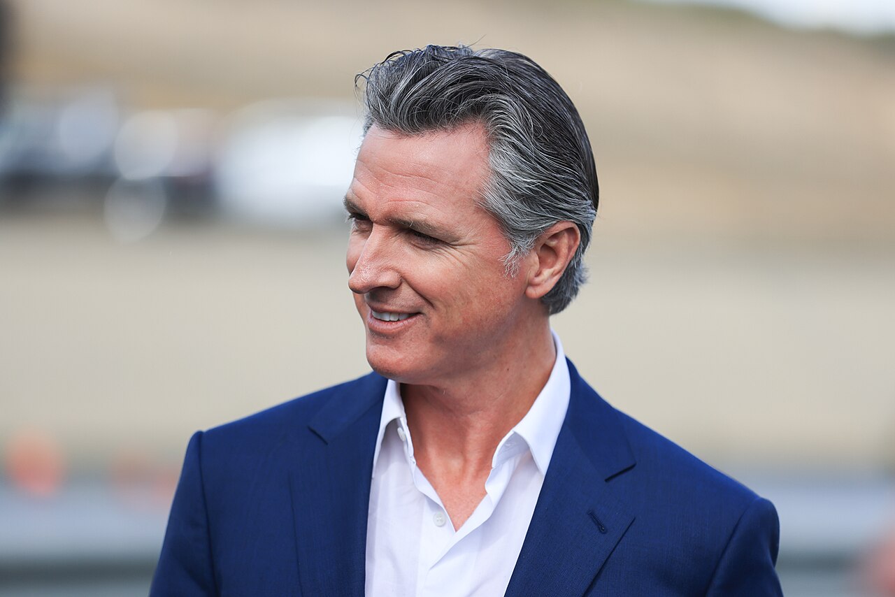 Gavin Newsom Says Europe Must Stop 'Rolling Over' for Trump's Greenland Demands