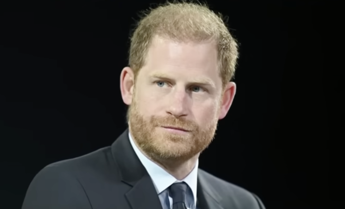 Critics React After Prince Harry Defends Royal Status, Claims He's Doing Work He Was 'Born to Do'