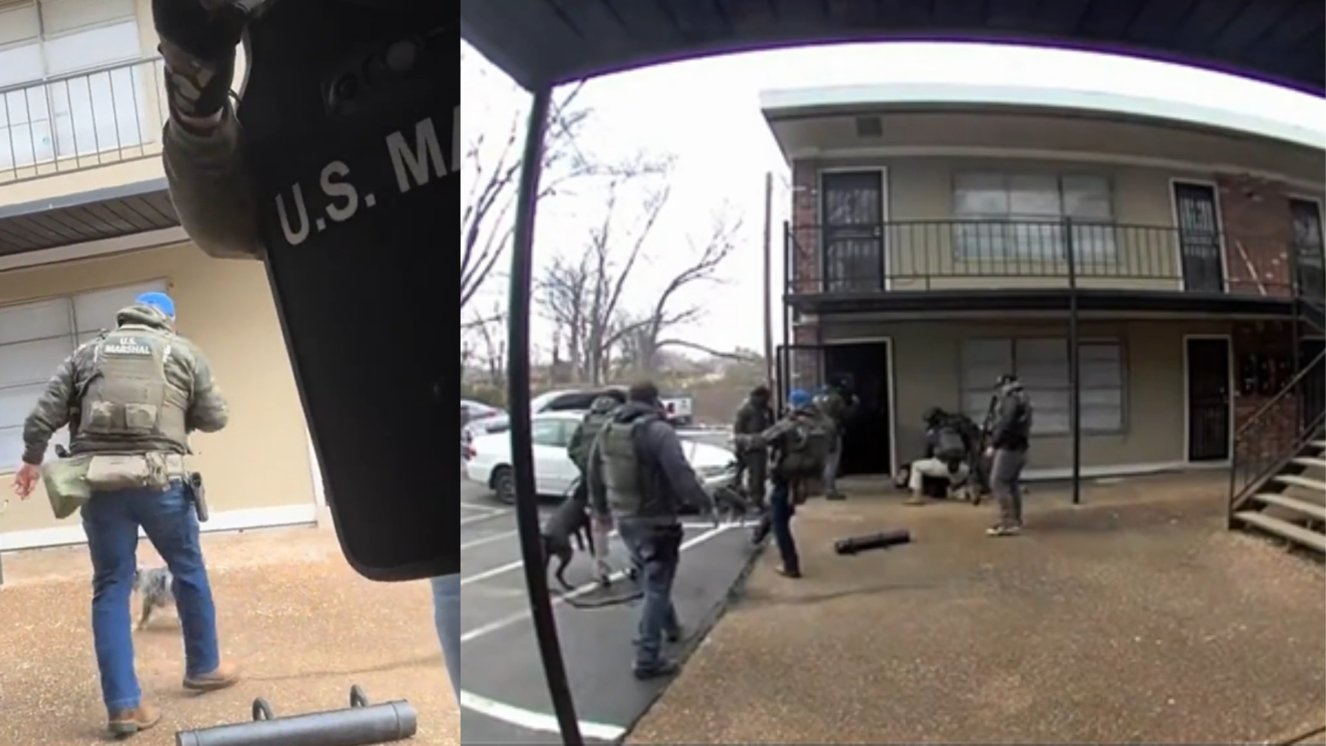 U.S. Marshal Kicks Puppy Twice, Breaks Its Rib During Memphis Federal Operation