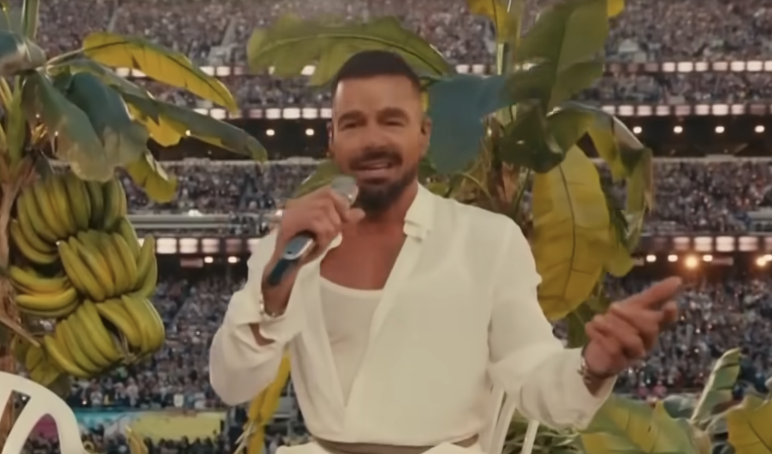 What Song Did Ricky Martin Sing at the Super Bowl Halftime? Quick Facts ...