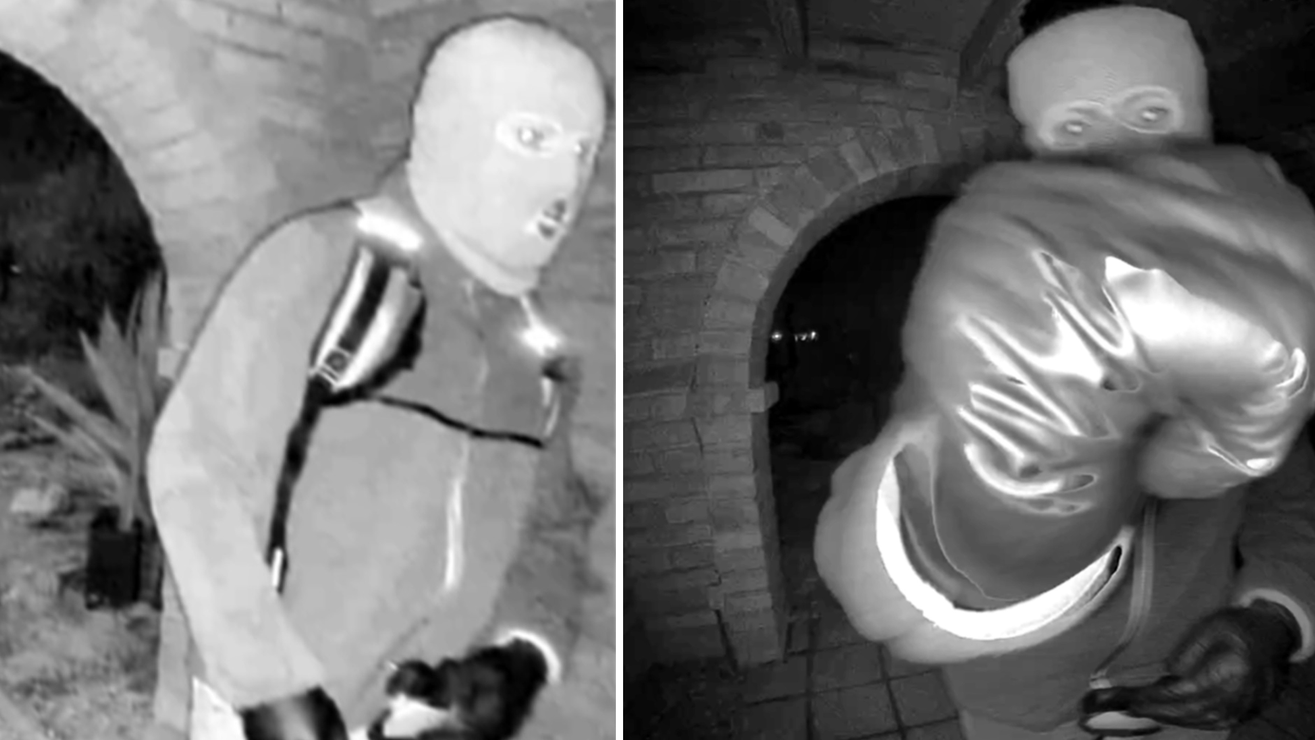 Suspicion Falls on Family as Search for Nancy Guthrie Takes an Unsettling Turn