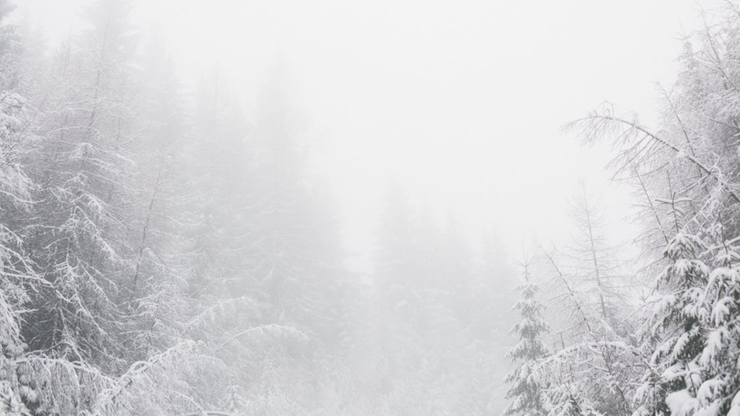 Lake Effect Snow Warning Hits Madison County—Which Counties Will See 6 to 10 Inches of Snow?