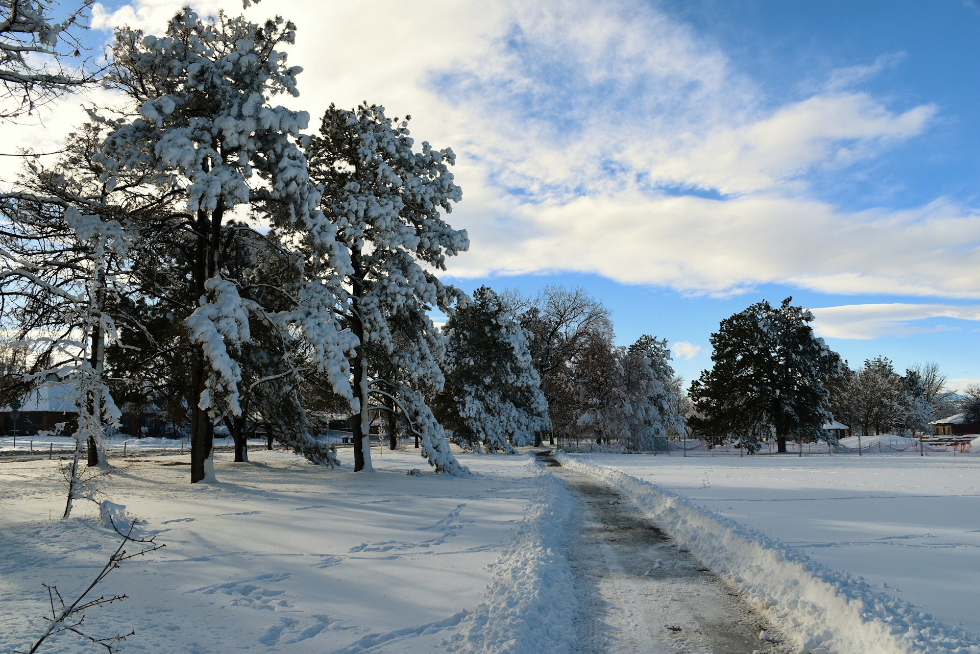 Weather Winter Storm Warning: 125 Million Under Alert as 1,500-Mile Arctic Blast Hits US
