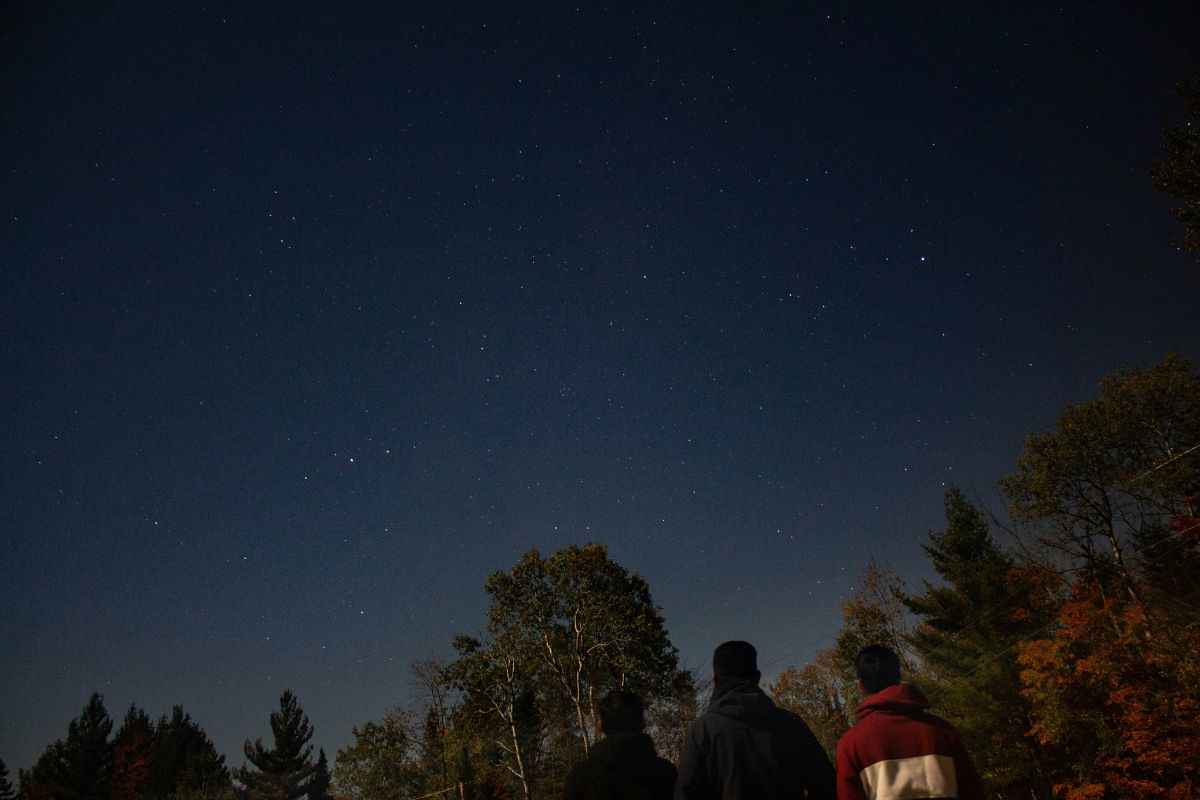 Scientists Find DNA Building Blocks in Meteorites, Raising Questions About Human Origins