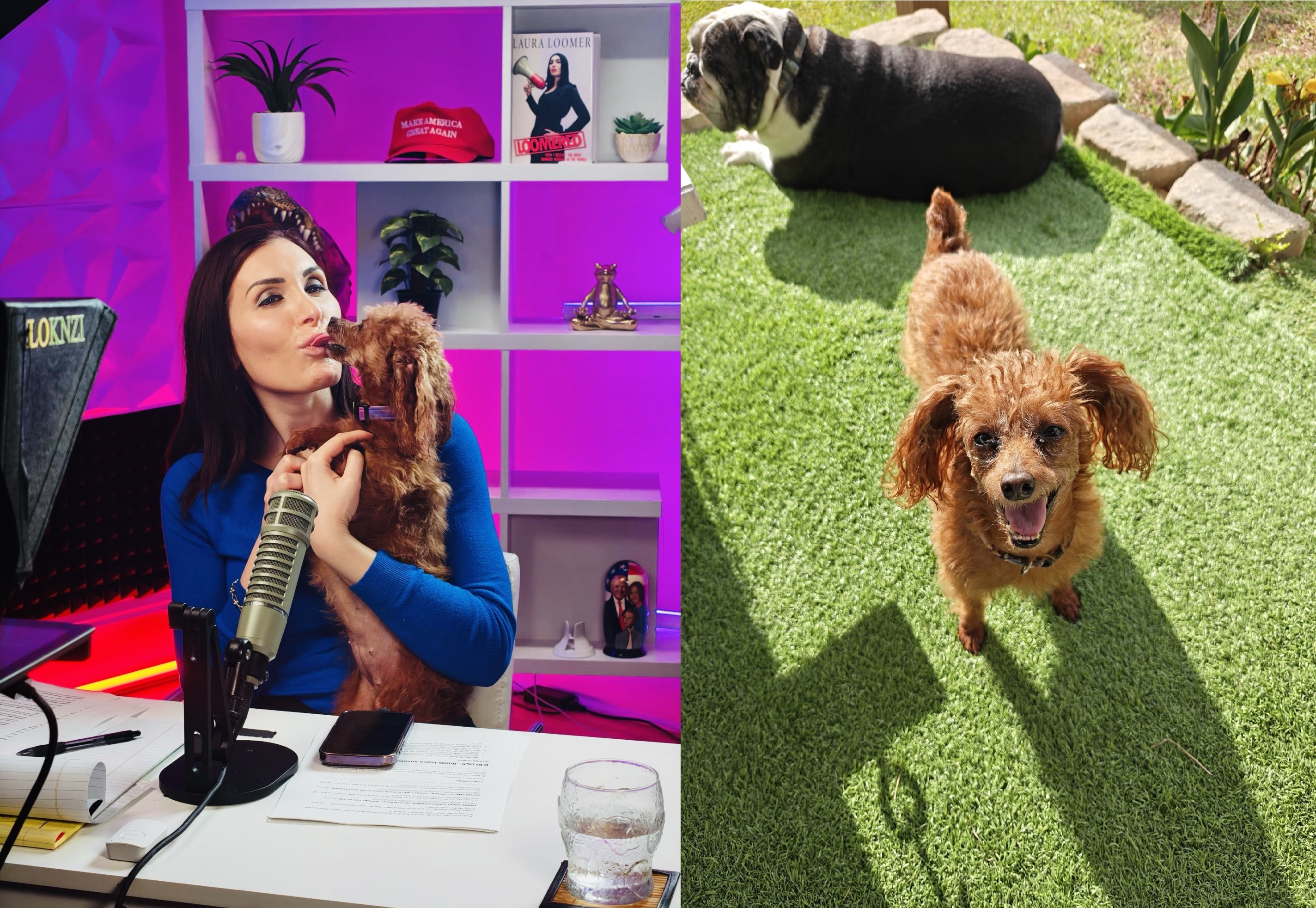 'Pray To My Dog, Mecca:' MAGA Laura Loomer Wants Muslims To Pray 5 Times a Day to Her Dog