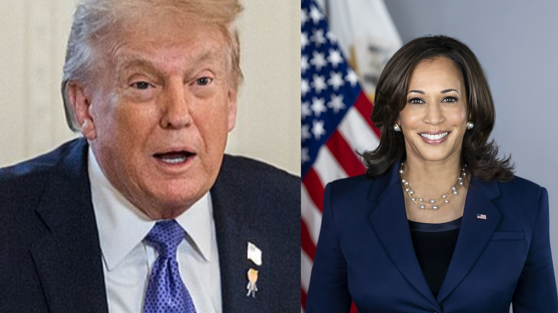 CNN Data Expert Says Trump Would Lose to Kamala Harris by Eight Points if 2024 US Elections Repeated This Year