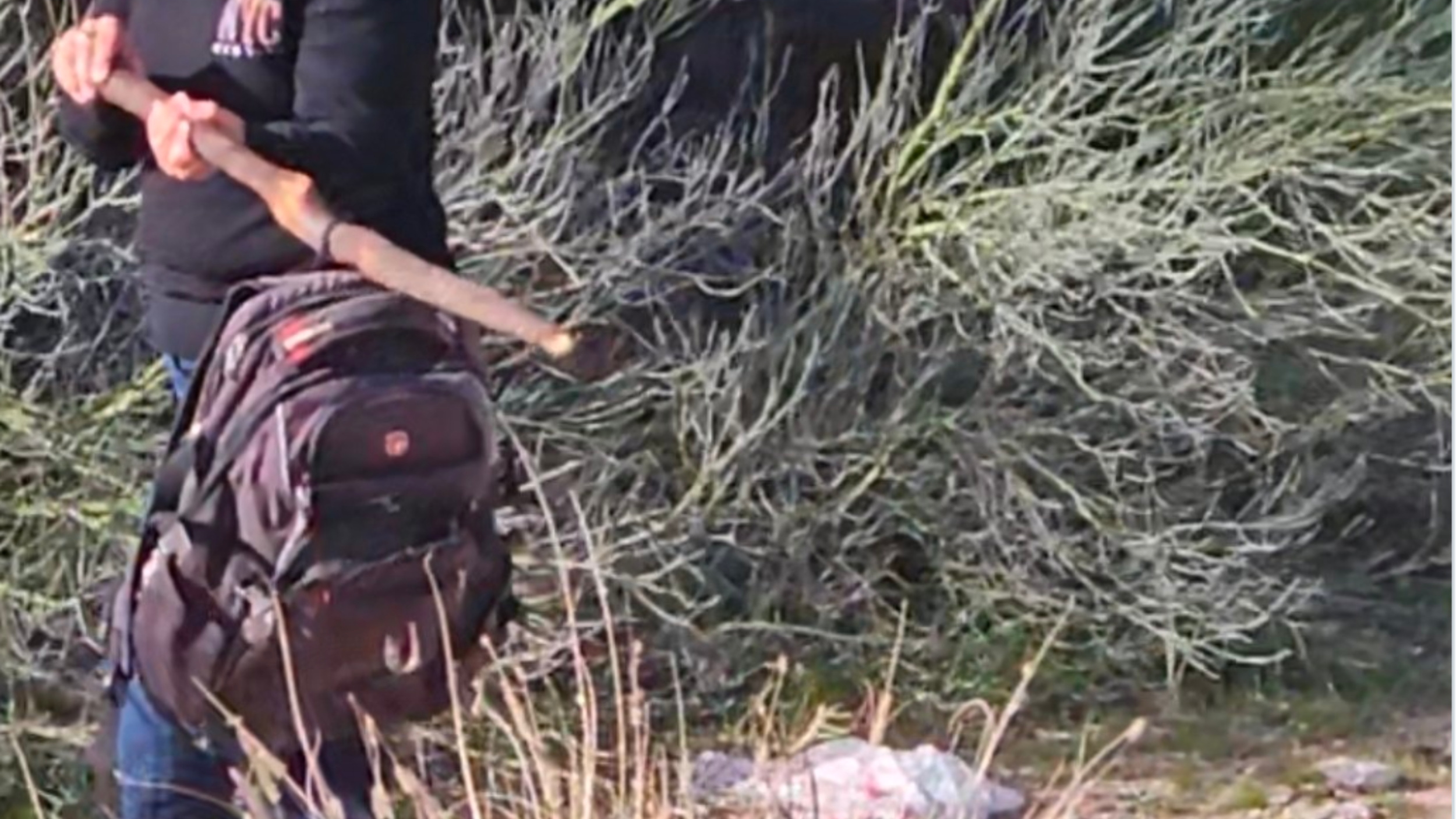 Nancy Guthrie Update: 'Ozark Trail' Backpack Recovered In Hunt For Abductor