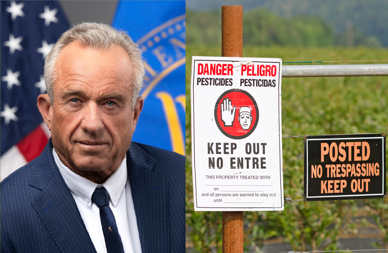 'Glyphosate and Cancer?' Ex-Environmentalist RFK Jr Supports Trump's Boost of Pesticides He Fought for Years