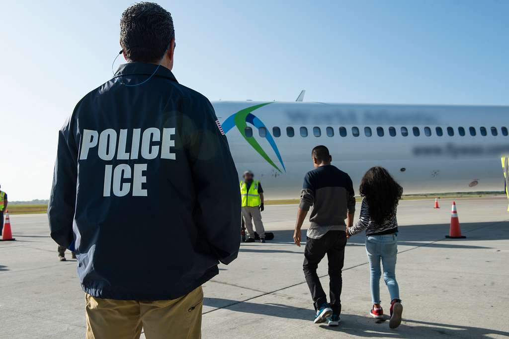Trump's Immigration Crackdown Meets Judicial Rebuke and Rising Pressure on ICE