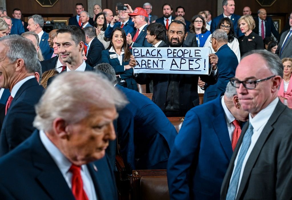 Democrat Al Green Escorted Out After 'Black People Aren't Apes' Protest at Trump State Of The Union