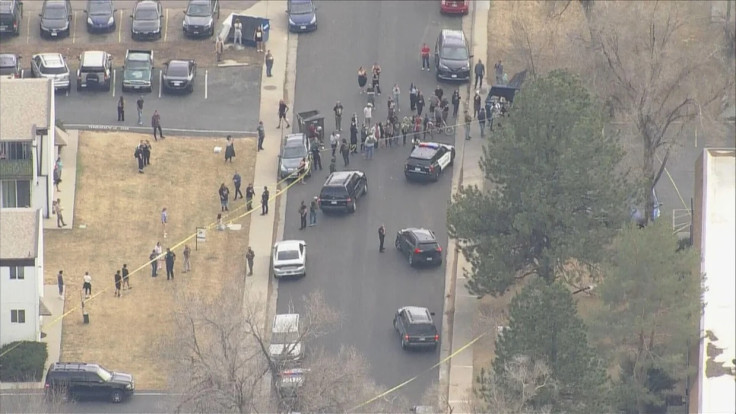 Lakewood Hit-and-Run