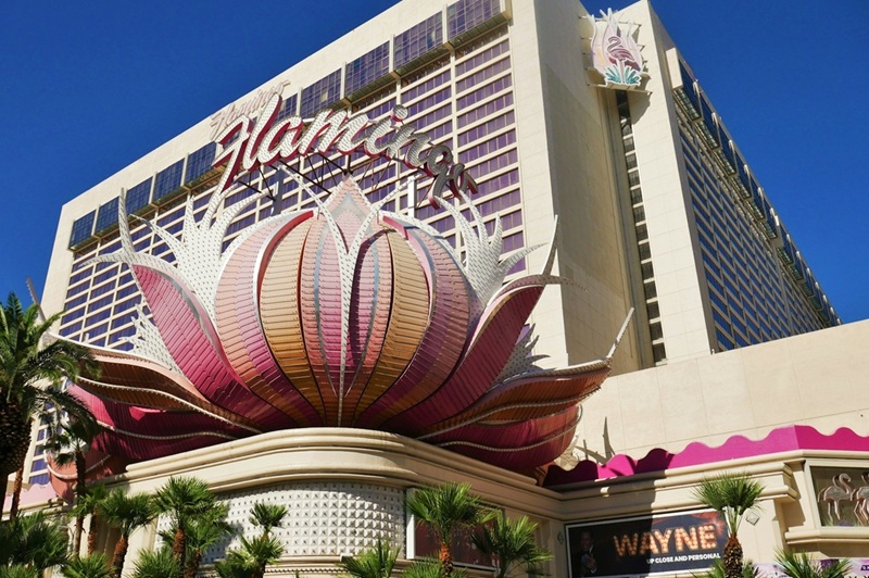 Tourist Arrested in Las Vegas After Allegedly Capturing and Torturing Hotel's Exotic Bird