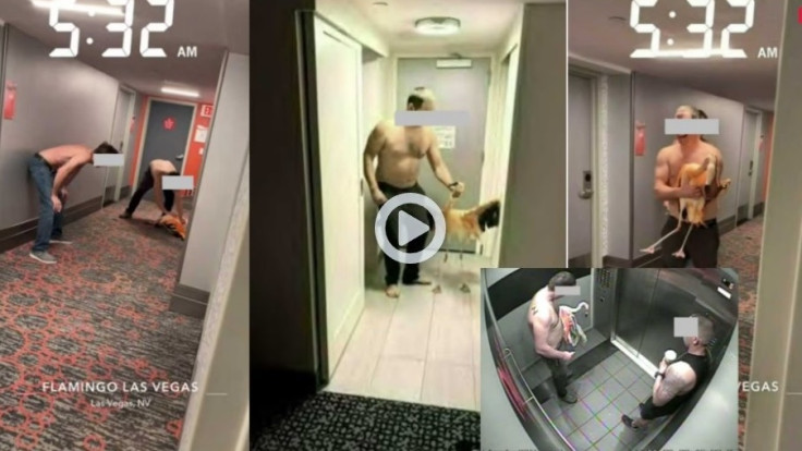 police-arrest-las-vegas-tourist-for-capturing-and-torturing-hotel-flamingo_cropped_processed_by_imagy