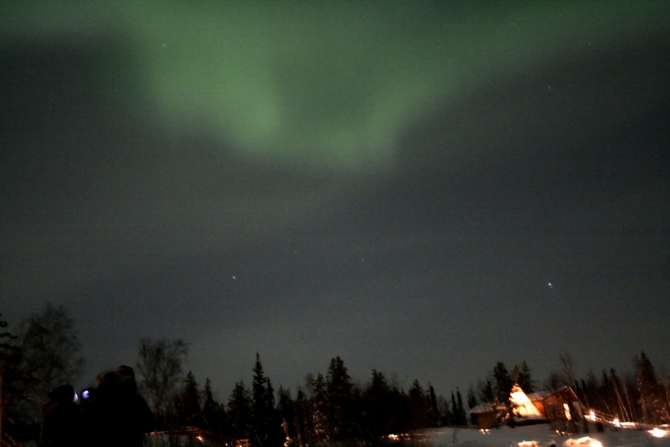 The Aurora Borealis appear in the sky over the woods in Canada039s Northwest Territories of Yellowknife in this picture taken February 14, 2008.