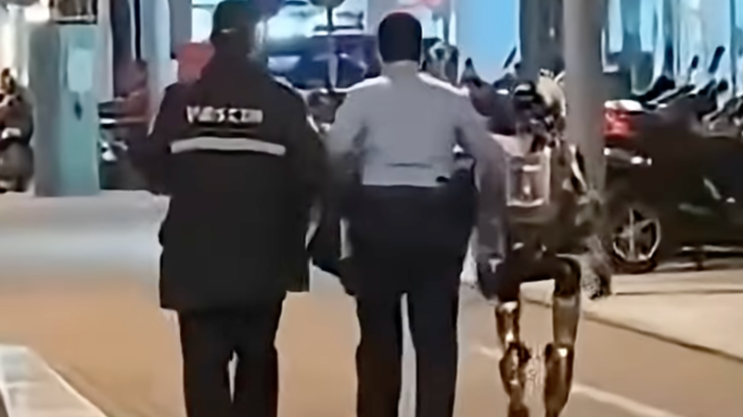 Macau Police Detain Humanoid Robot After 'Harassing' 70-Year-Old Woman Hospitalised Following Street Encounter