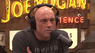 Joe Rogan