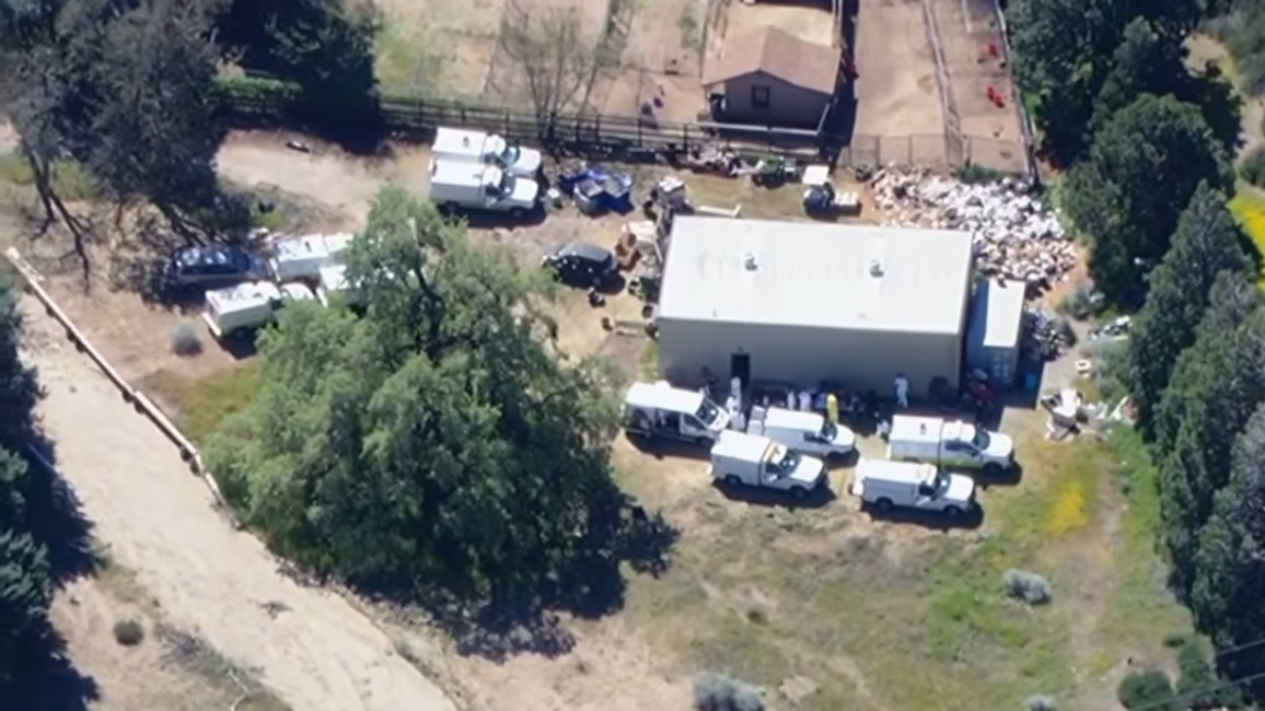 LA County Officials Rescue 700 Dogs and Cats – Possibly the Largest Animal Rescue in US History