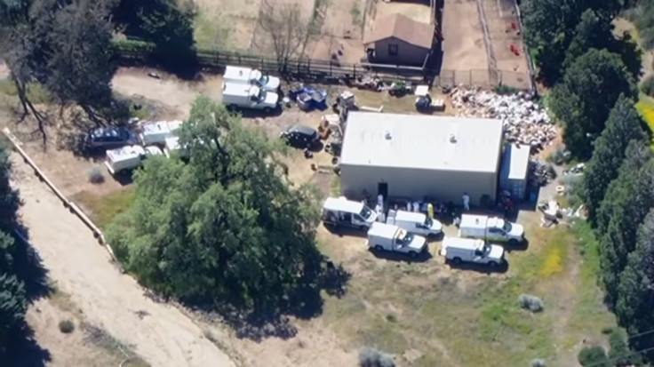 LA County Animal Rescue