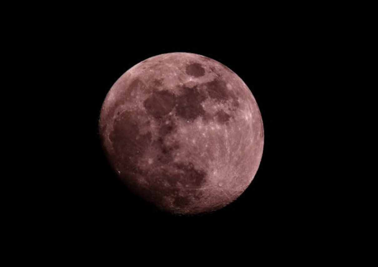 Pink Moon 