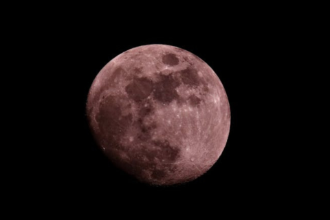 Pink Moon