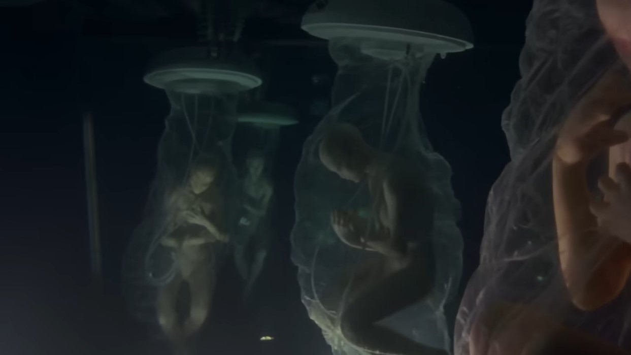 Secret Alien-Human Hybrid Breeding Program Exists? Matt Gaetz Claims US Army Briefed Him of the Project