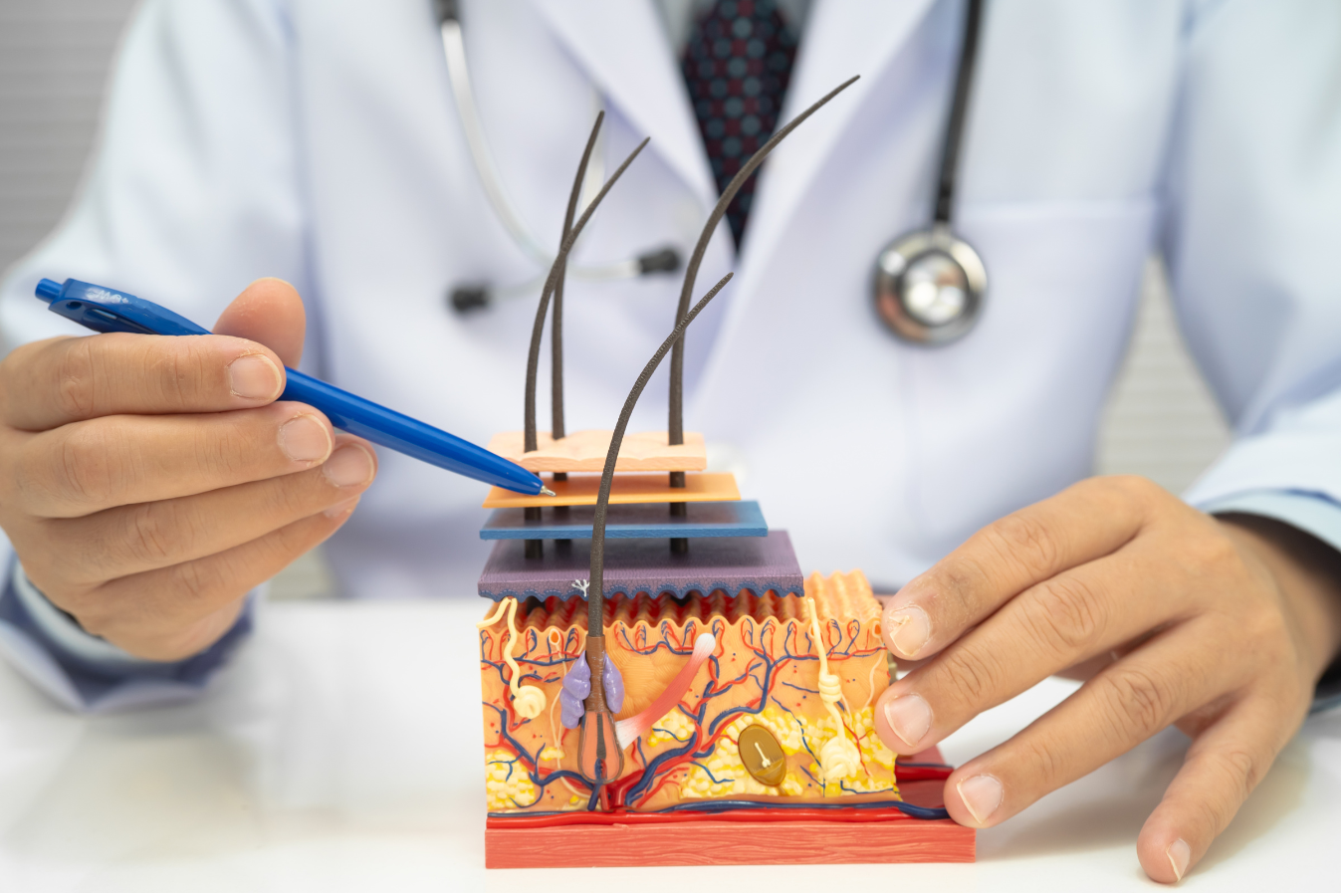 8 Best Hair Transplant Clinics in Turkey 2026: Trusted, Proven Results &amp; Affordable