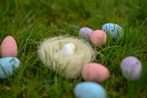 Easter Egg Hunt