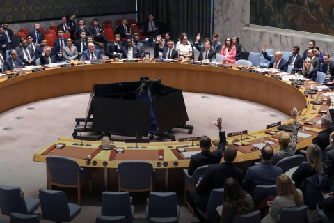 UN Security Council