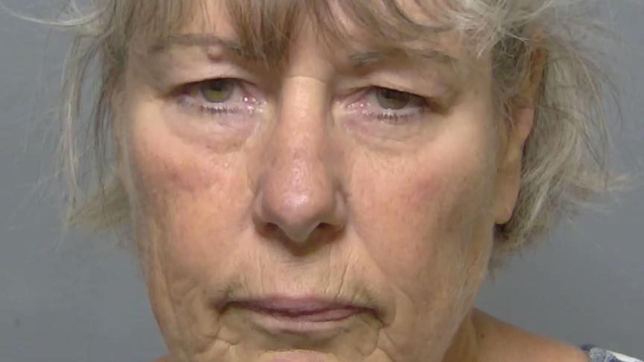 Who Is Yvonne Hampton? Florida Bus Driver Faces 29 Felony Charges After Train Clips School Bus as Kids Scream in Terror