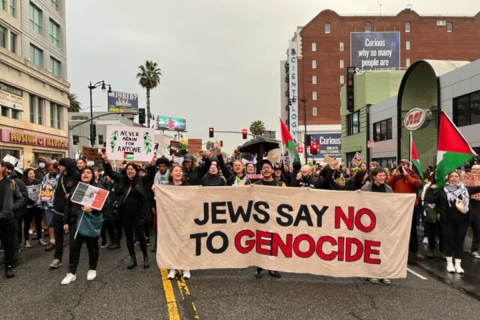 Jewish Voice for Peace