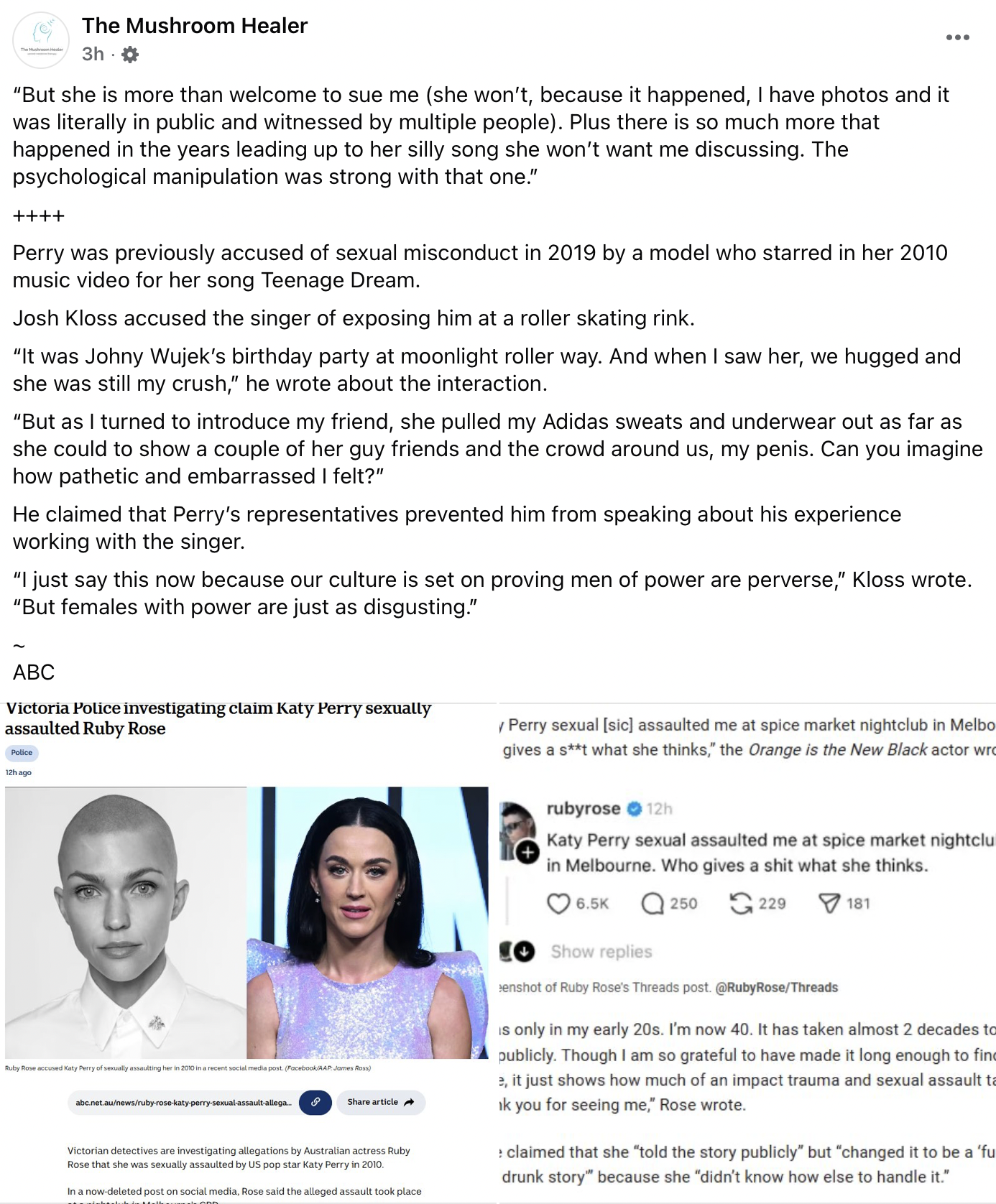 Did Katy Perry Assault Josh Kloss? Singer's Past Scandal Resurfaces as Police Probe Ruby Rose Claims