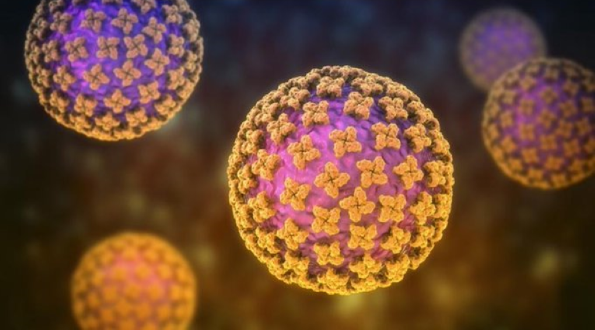 Hantavirus Outbreak Spreading: How Worried Should You Really Be?