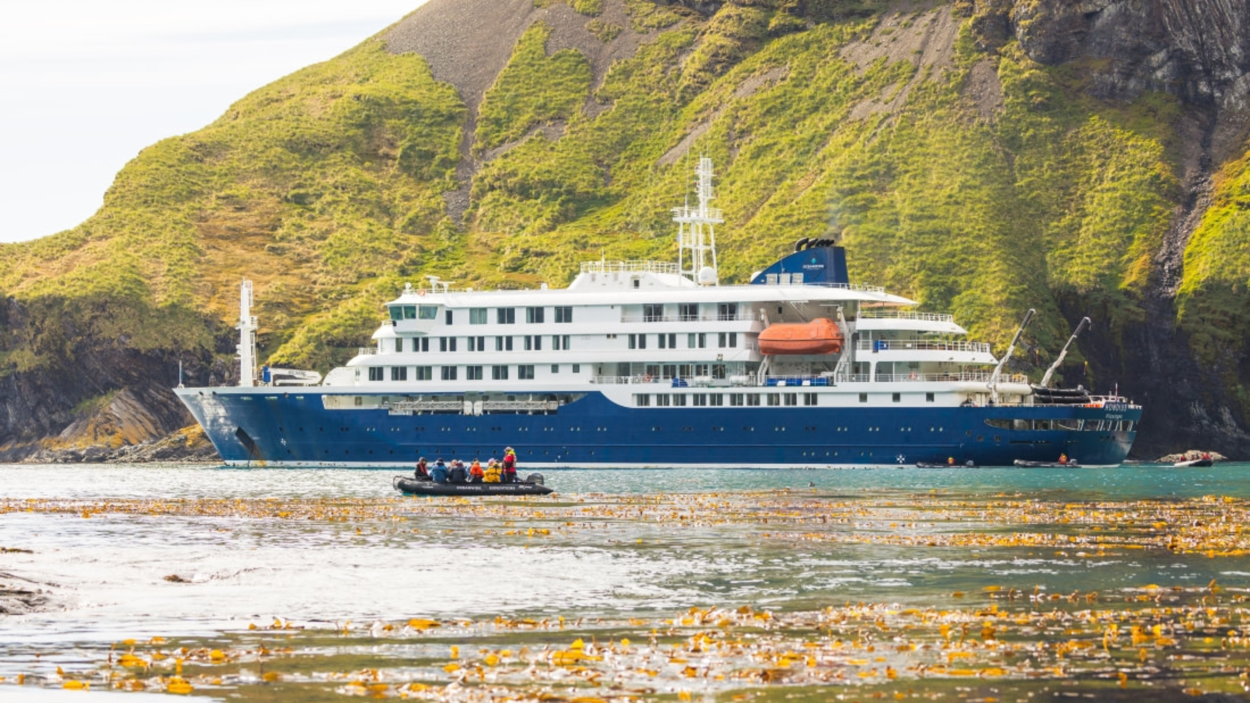 Is There a Hantavirus Outbreak? Symptoms to Watch Out for After Cruise Ship Deaths Trigger Emergency Quarantine