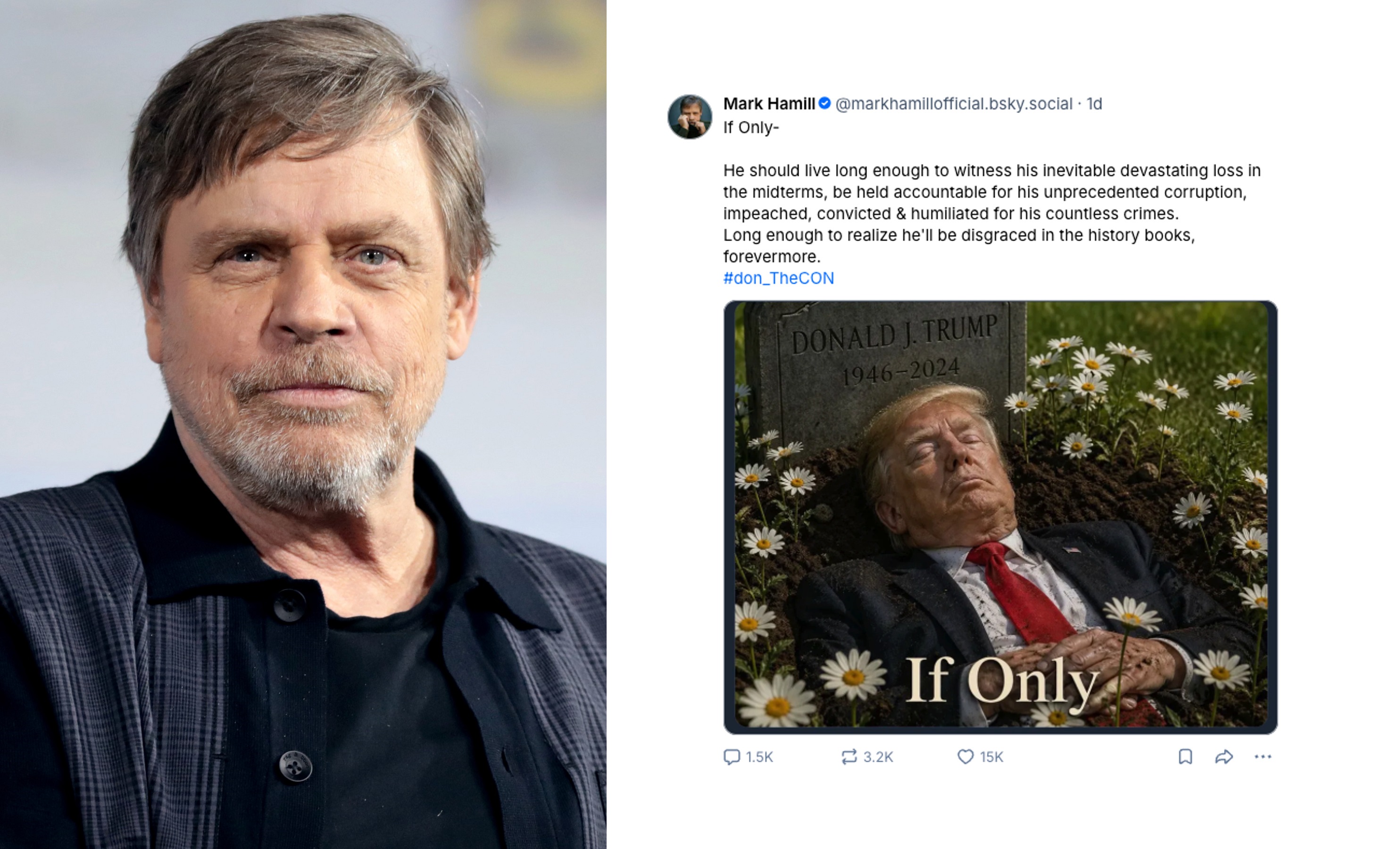 'Star Wars' Mark Hamill Under Fire for Posting AI Trump Grave Image, White House Slams Actor for Offensive Post