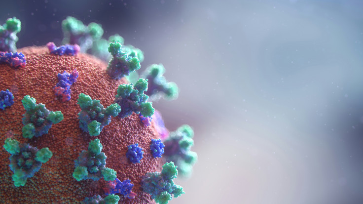 Hantavirus