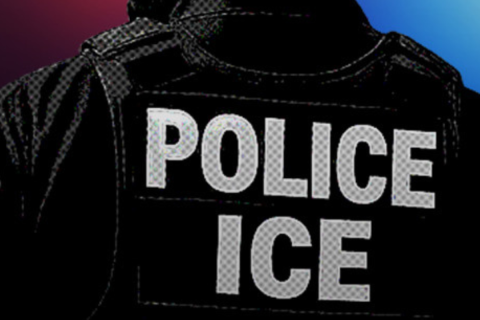 Joe Ceballos in ICE custody after admitting non-citizen voting
