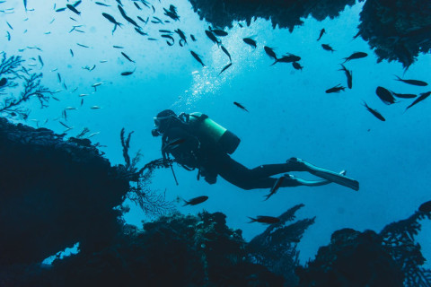 Scuba Diving