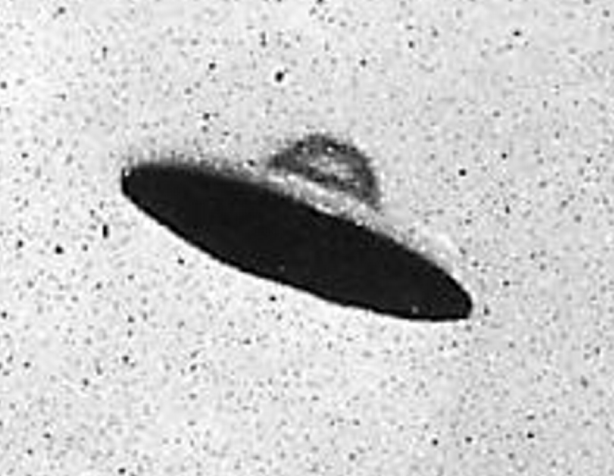 Missing in Americas Wilds: UFO Theorists Claim National Parks Are Hunting Grounds for Aliens