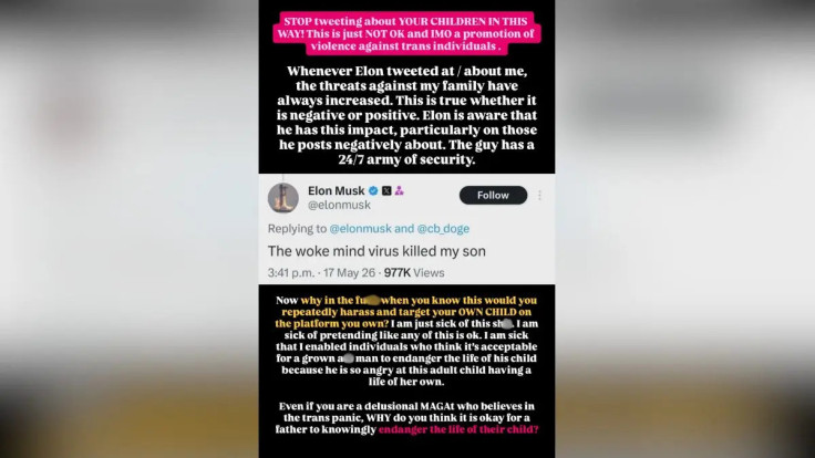 Ashley St. Clair Instagram Story