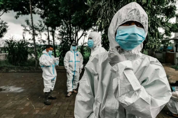 Ebola virus