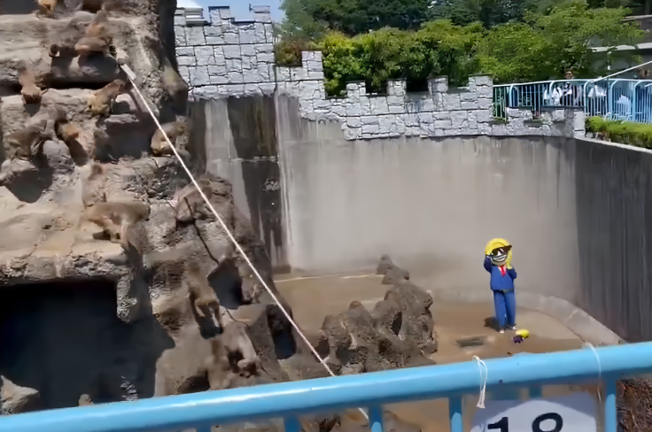 American tourist inside Punch's Enclosure