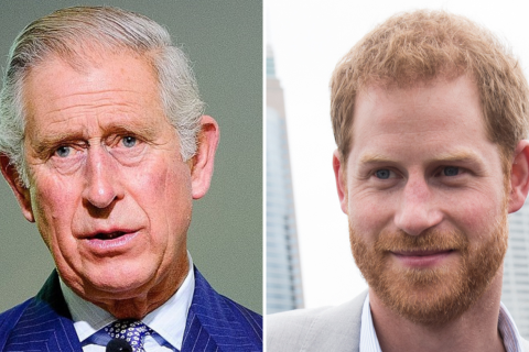 King Charles & Prince Harry