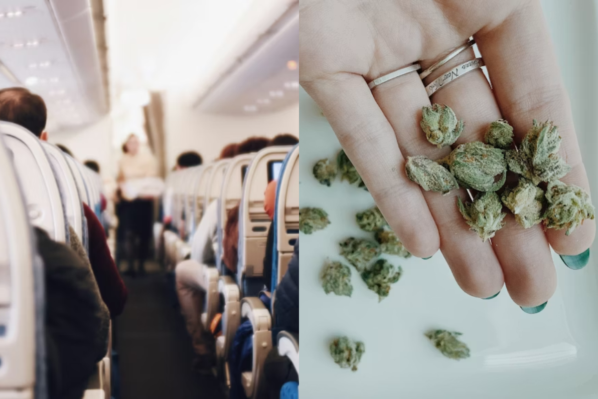 TSA Allows Medical Marijuana On Flights For The First Time Since 1970 But Forgot To Write The Rules