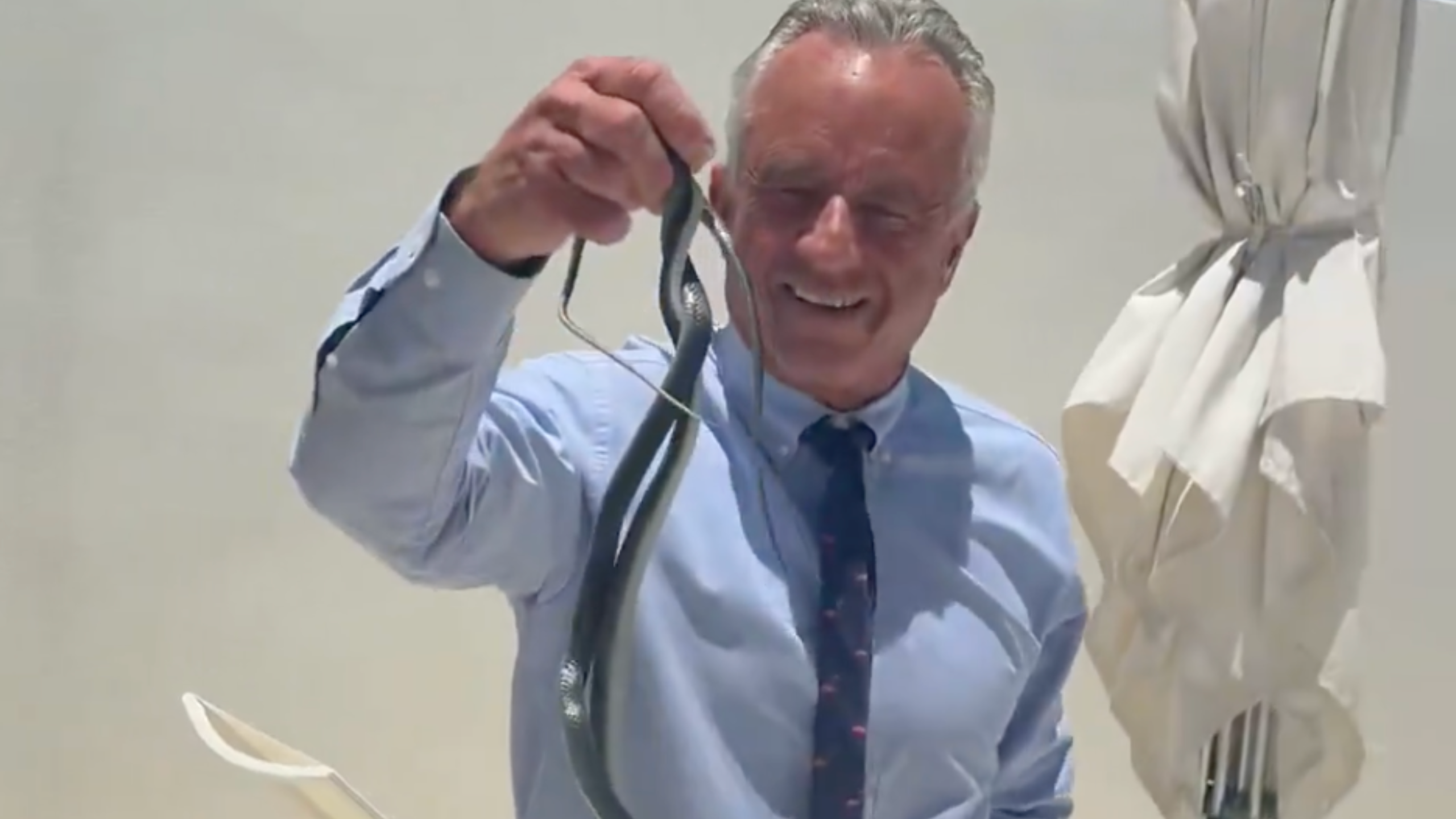What Snake Was RFK Jr. Trying to Catch On Dr Oz's Patio? Questions Grew Over Whether It Was Highly Venomous