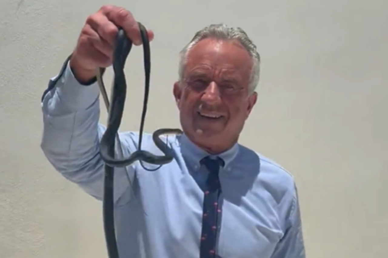 RFK Jr. Snatches Snakes Barehanded in Viral Video: Resurfaced Childhood Photos Explain His Animal Obsession
