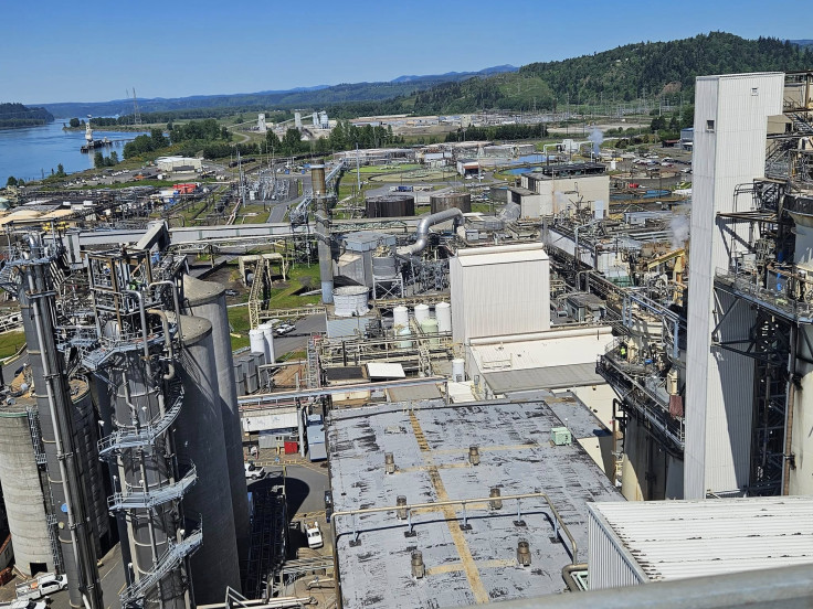 Nippon Dynawave, Nippon Paper Group