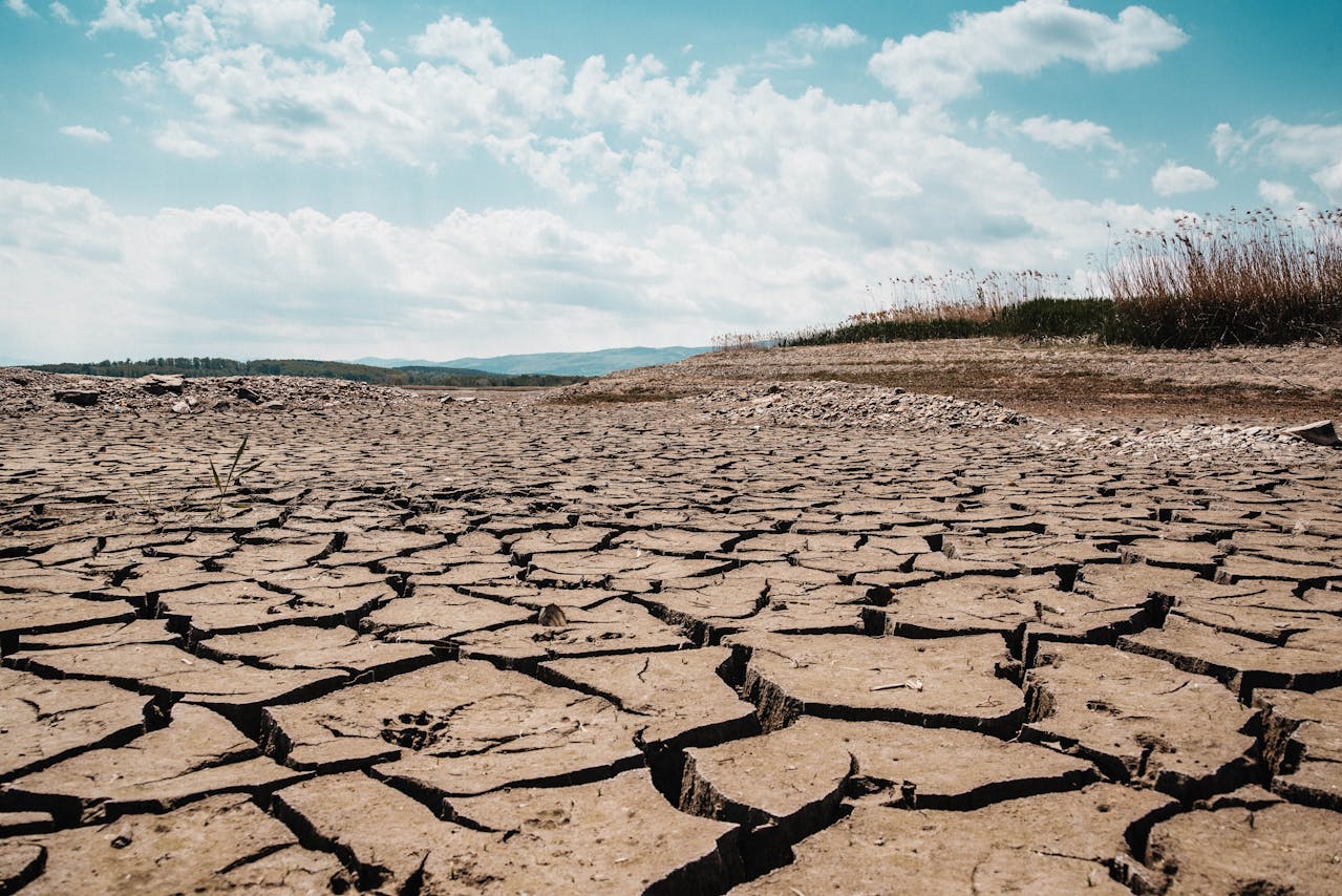Cracked earth depicting drought
