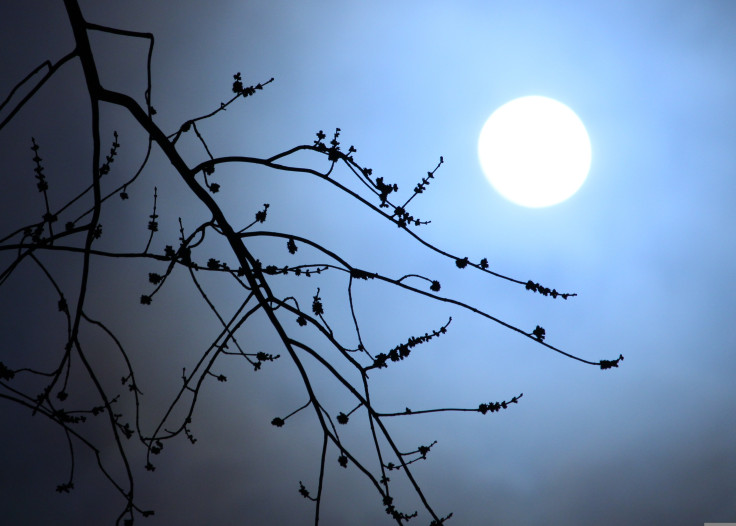 Blue Full Moon